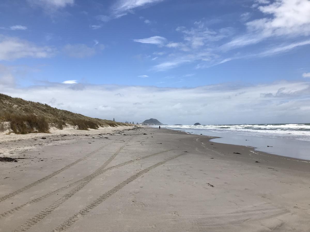 Ferienwohnung Unit By The Beach Mount Maunganui Exterior foto
